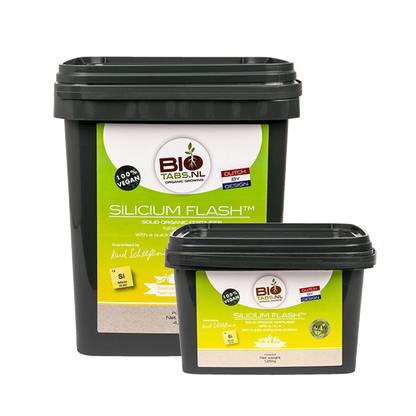 BioTabs Silicium Flash 2500ml (1500g)