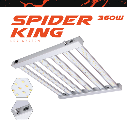 Spider King 360W LED