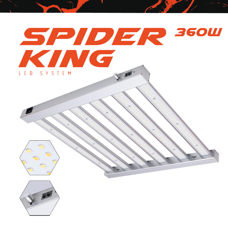 Growbox Komplettset 80x80x200cm 360w LED BASIC