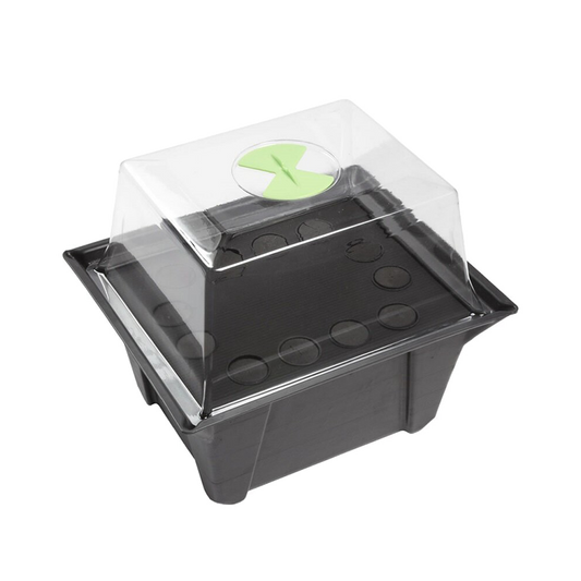 X-Stream 12 Hydro Gewächshaus