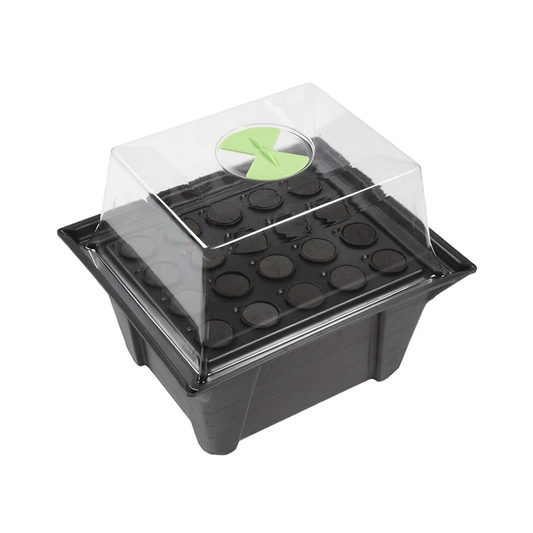 X-Stream 20 Hydro Gewächshaus