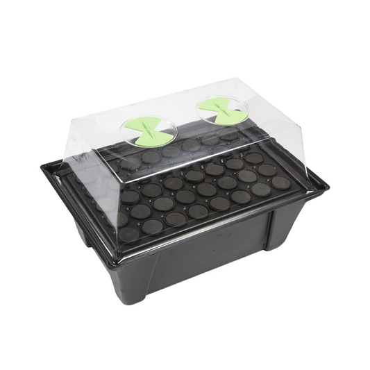 X-Stream 40 Hydro Gewächshaus